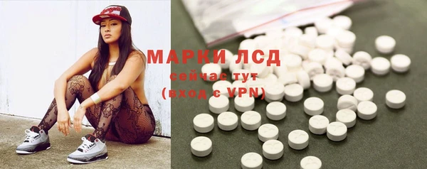 стафф Горнозаводск
