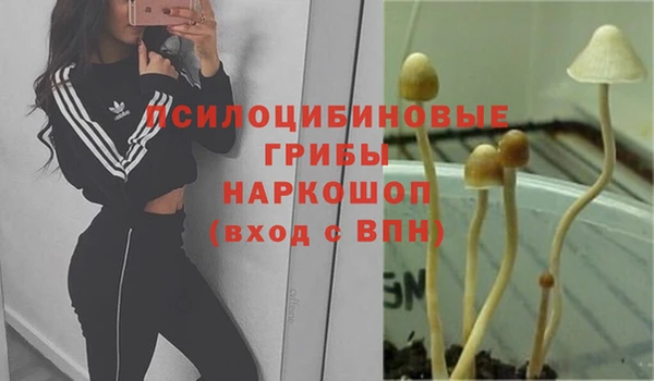 кокаин перу Горняк