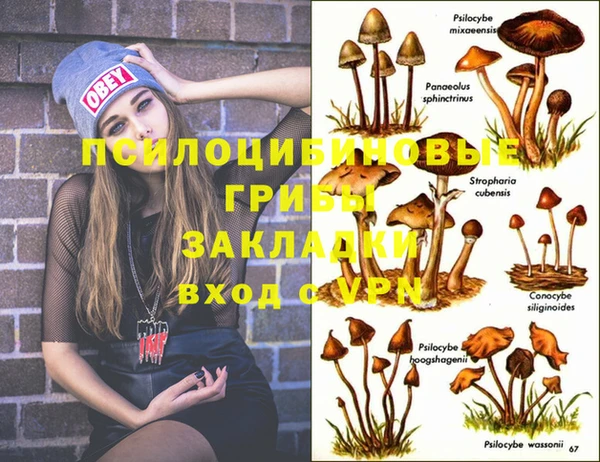 мет Беслан