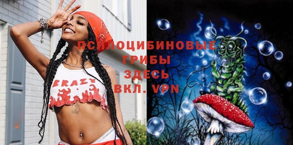 дмт Горно-Алтайск
