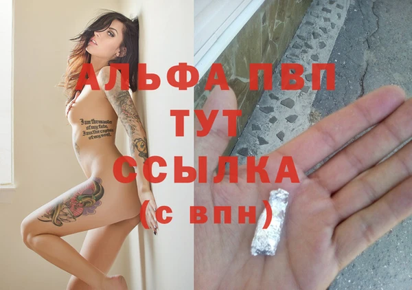 стафф Горнозаводск