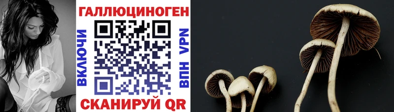 Псилоцибиновые грибы Magic Shrooms  цена   площадка официальный сайт  Добрянка 